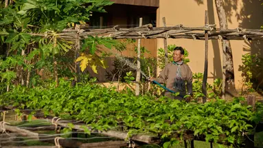 GREEN BAY PHU QUOC RESORT & SPA