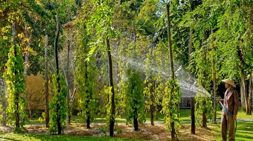 Green Bay Phu Quoc Resort