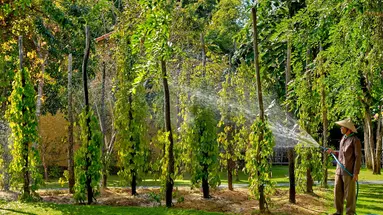 Green Bay Phu Quoc Resort