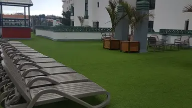 Green Field