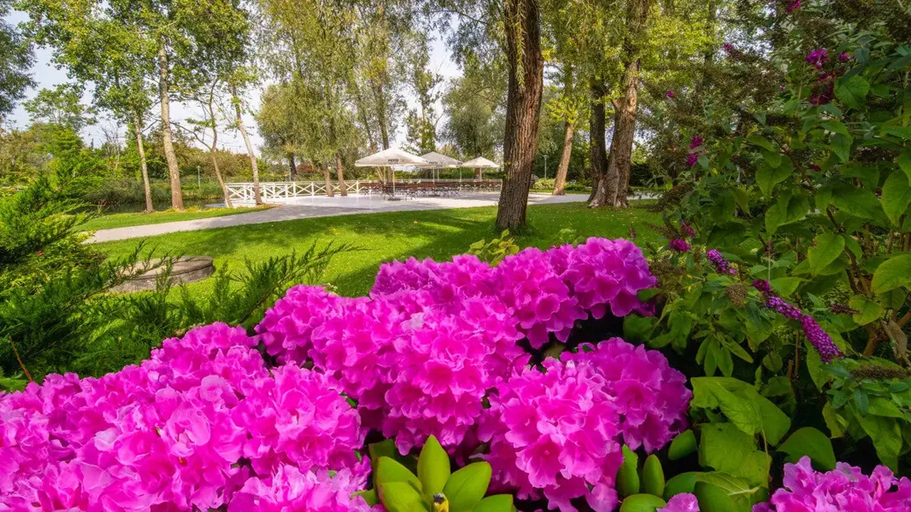 Green Garden Hotel