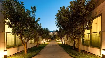 Green Garden Resort