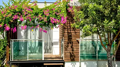 Green Garden Resort