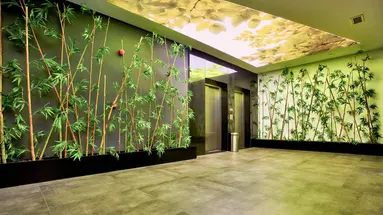 Green Garden Suite