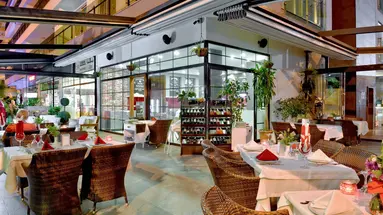 Green Garden Suite