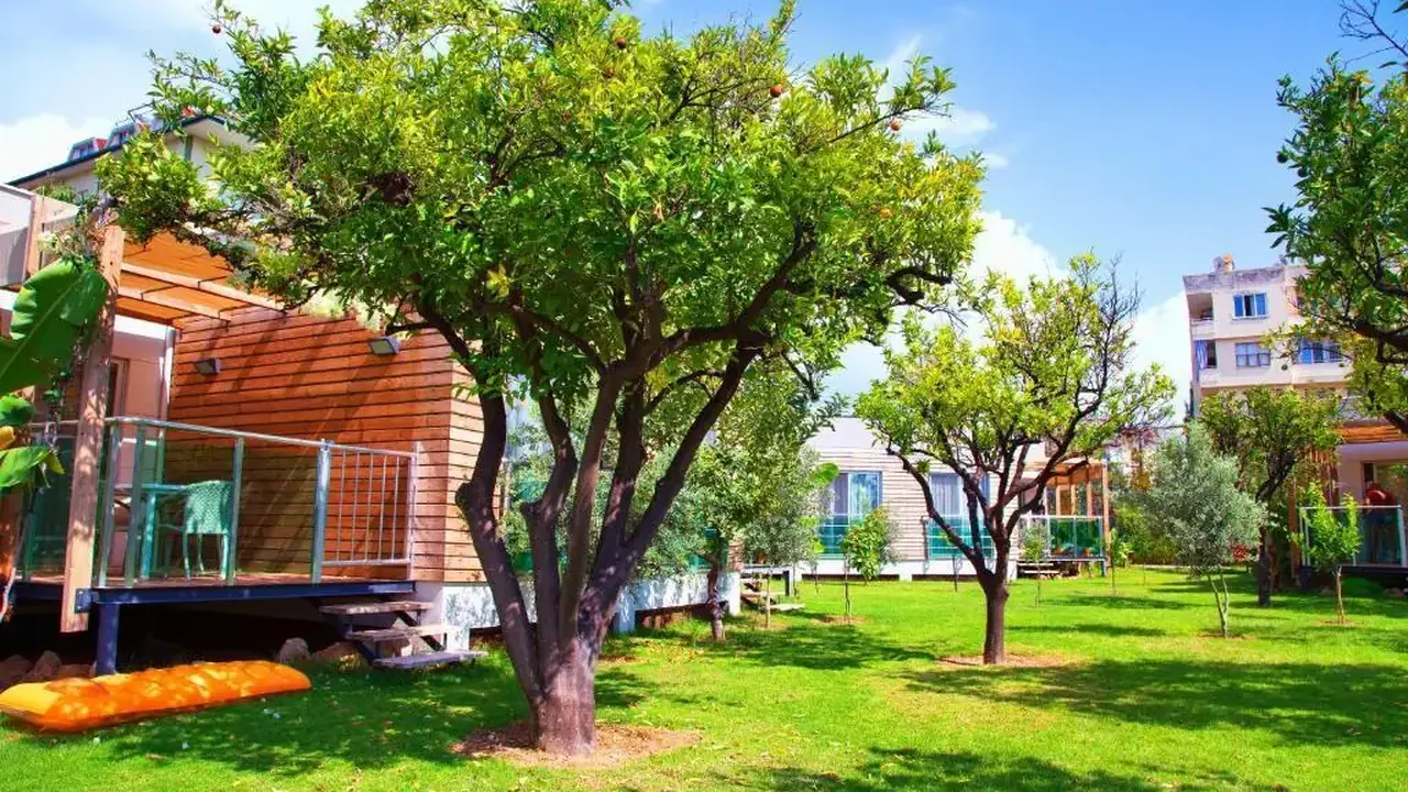 Green Garden