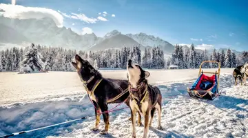 Grenlandia – polarna wyspa śniegu i lodu