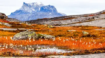 Grenlandia – polarna wyspa śniegu i lodu