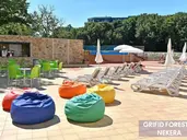 Grifid Foresta
