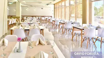 Grifid Foresta