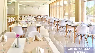 Grifid Foresta