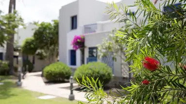 Grupotel Playa Feliz