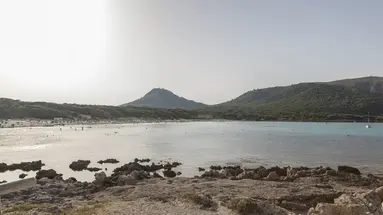 Guya Wave