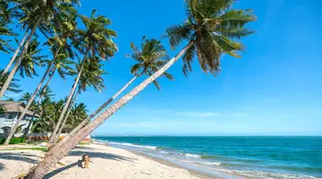 Gwarny Sajgon I Rajskie Plaże