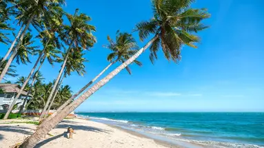 Gwarny Sajgon I Rajskie Plaże