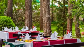 GYPSOPHILA CLUB MARINE HOTEL
