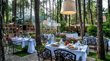GYPSOPHILA CLUB MARINE HOTEL