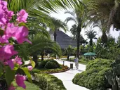 GYPSOPHILA CLUB MARINE HOTEL