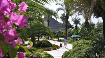 GYPSOPHILA CLUB MARINE HOTEL