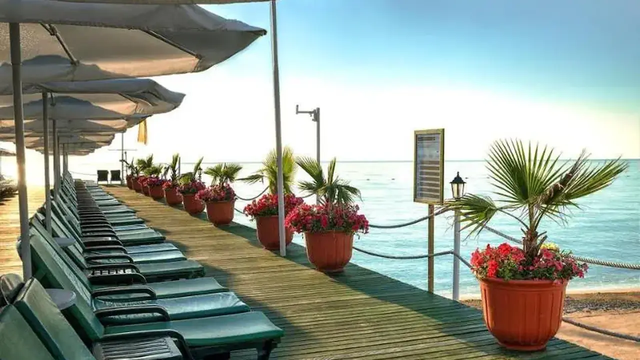 Gypsophila Club Marine