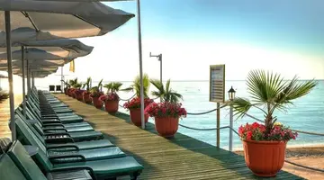 Gypsophila Club Marine
