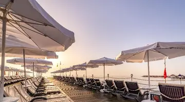 Gypsophila Club Marine