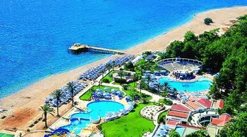 Gypsophila Club Marine