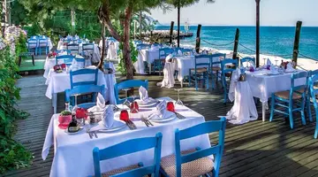 GYPSOPHILA CLUB MARINE
