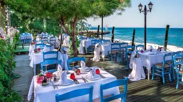 Gypsophila Club Marine