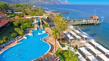 Gypsophila Club Marine