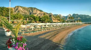 GYPSOPHILA CLUB MARINE