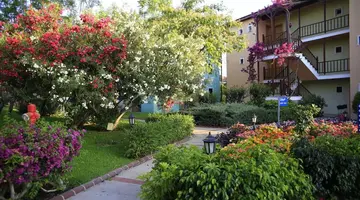 GYPSOPHILA HOLIDAY VILLAGE
