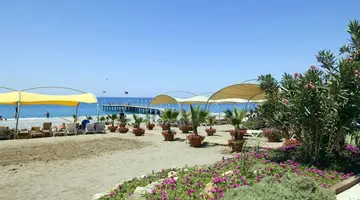 GYPSOPHILA HOLIDAY VILLAGE