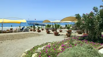 GYPSOPHILA HOLIDAY VILLAGE