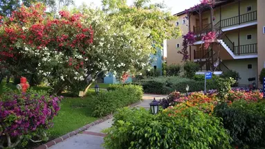 GYPSOPHILA HOLIDAY VILLAGE