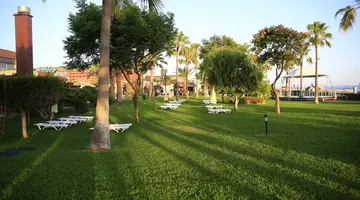 GYPSOPHILA HOLIDAY VILLAGE