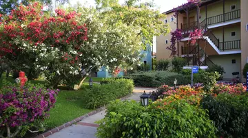 GYPSOPHILA HOLIDAY VILLAGE