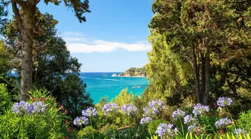 H.TOP ROYAL BEACH 4*