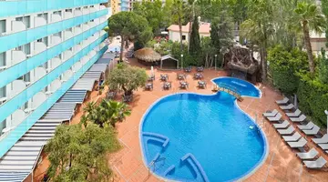 H10 Delfin Adults Only