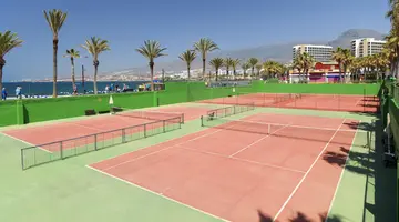 H10 las Palmeras