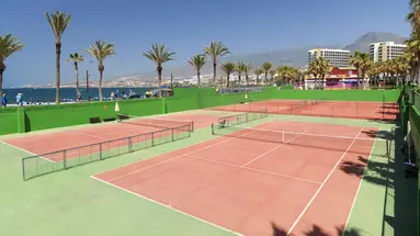 H10 las Palmeras