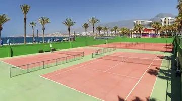 H10 LAS PALMERAS