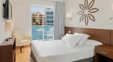 H10 Delfín