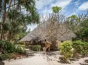 HAKUNA MAJIWE BEACH LODGE & SPA ZANZIBAR
