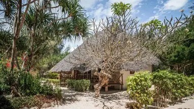 HAKUNA MAJIWE BEACH LODGE & SPA ZANZIBAR