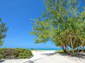 Hakuna Majiwe Beach Lodge