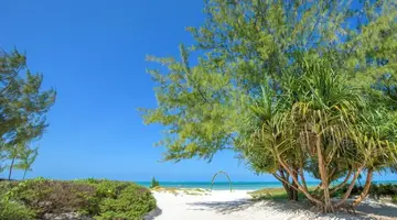 Hakuna Majiwe Beach Lodge