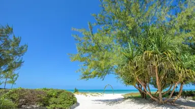 Hakuna Majiwe Beach Lodge