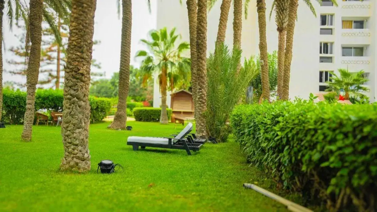 HAMILTON Agadir