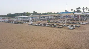 Hane Sun Elite